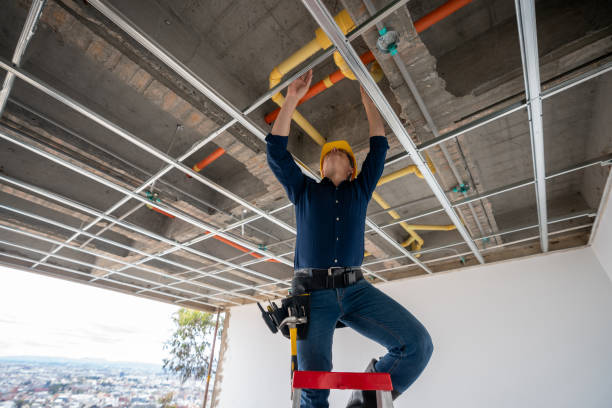 Best Local Plumber Services  in North Sarasota, FL